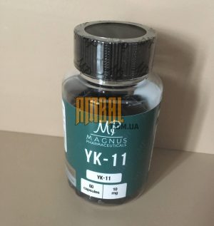YK - 11 MAGNUS
